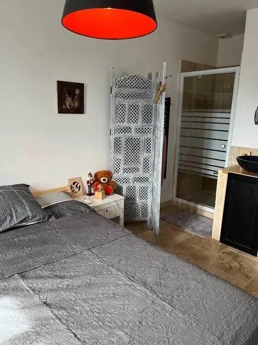 Villa De Charme 130 M2 Vidauban